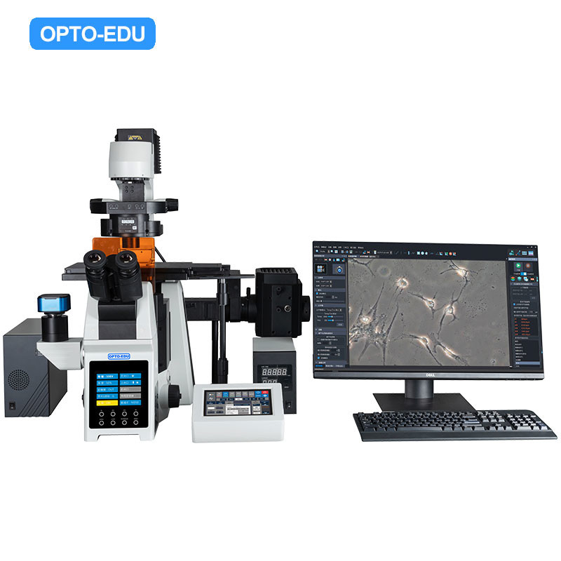 Opto Edu A16.0960 Research Level Inverted Fluorescent Microscope Motorized Nosepiece Condenser